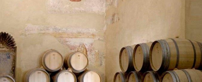 Bodega Descalzos Viejos Winery
