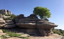 El Torcal Andrew Forbes Andalucia Diary 3