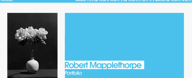Robert Mapplethorpe Cordoba