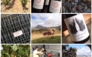 A morning’s tasting at Samara Wines in Ronda… Andrew Forbes visits Samsara Wines