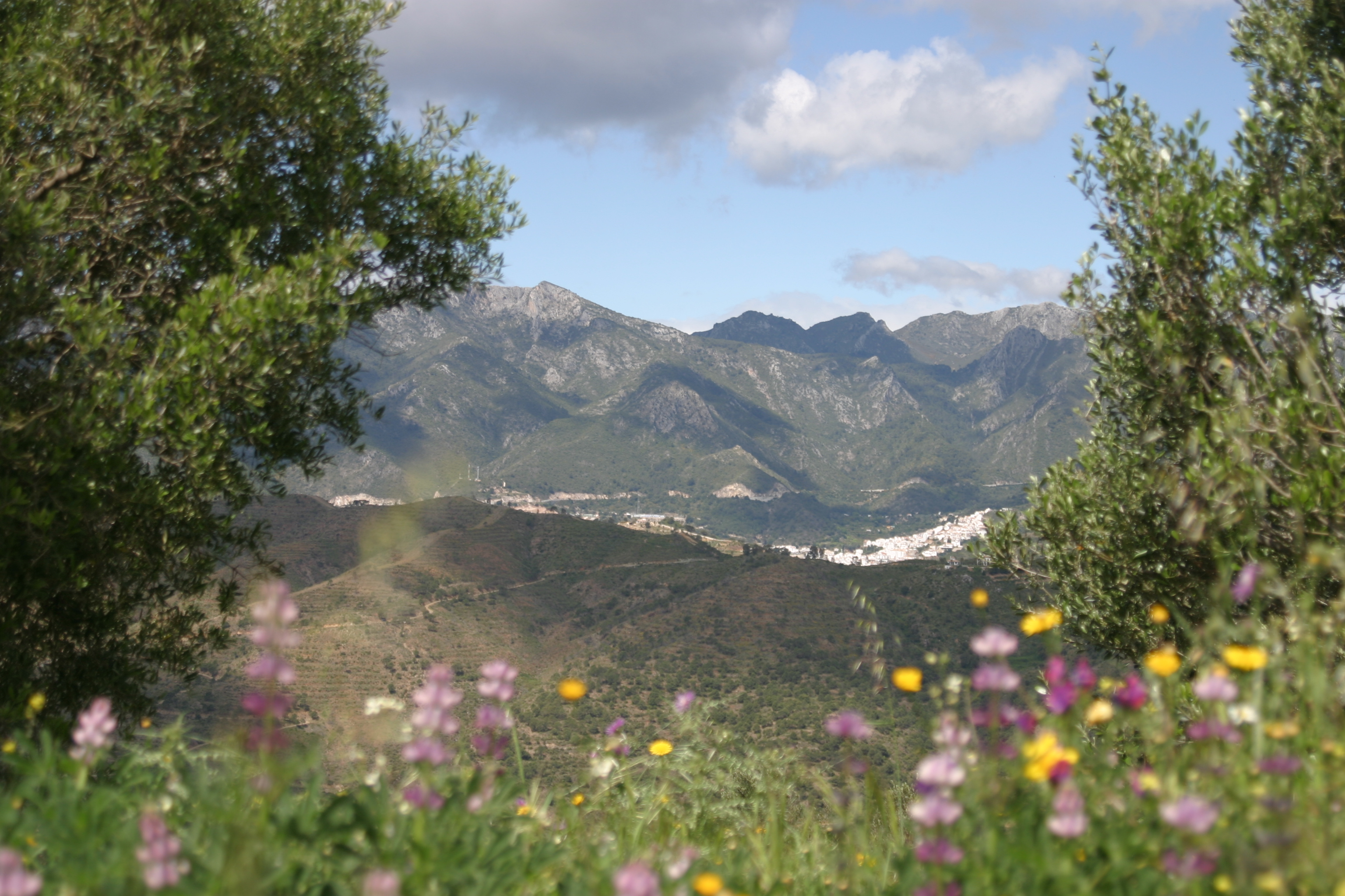 Village of Ojen, from monte Elviria
