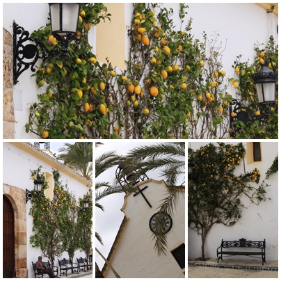 Ojen Malaga White Village Lemon Trees