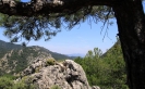 Go Wild in Southern Spain – Ten of my favourite wild spaces in Andalucia Cazorla Natural Park ANDREW FORBES
