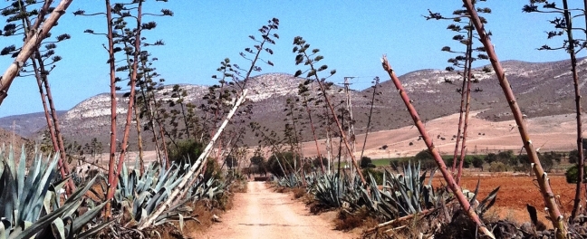 Cortijo de los Frailes, Almeria Cortijo Los Frailes